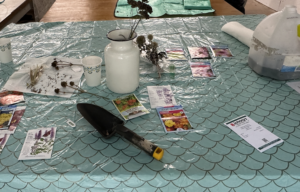 seeds and planting tools